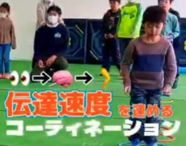 コーディネーショントレーニング