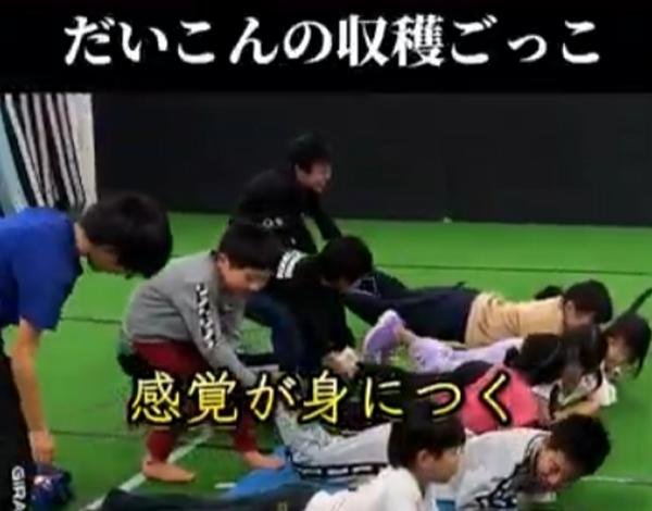 だいこんの収穫ごっこ