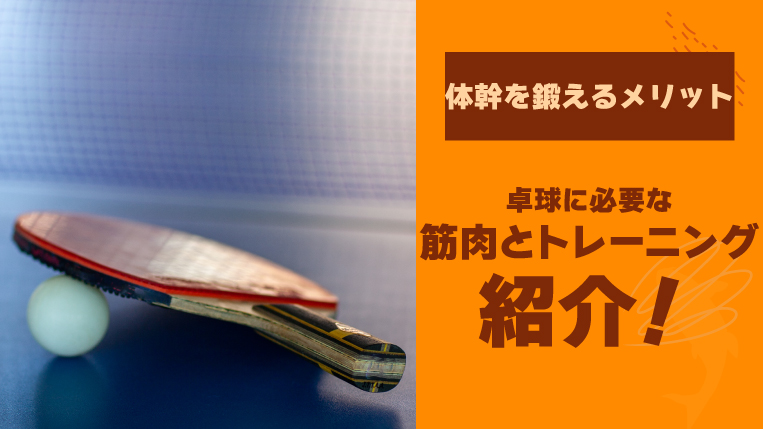 卓球で体幹を鍛えるメリットは？卓球に必要な筋肉とトレーニングも紹介