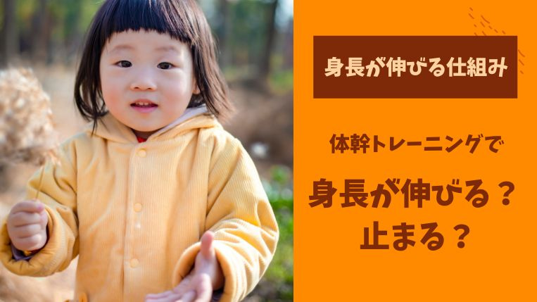 体幹トレーニングで身長が伸びる？止まる？