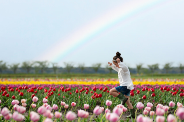 花畑に少女
