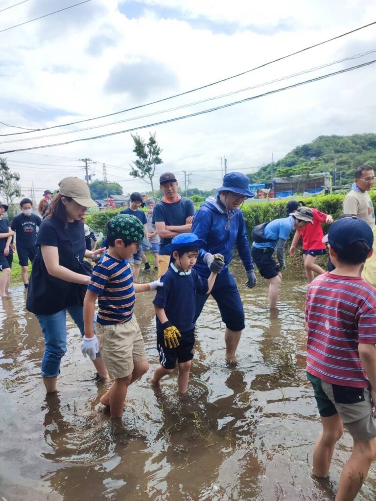 田植え